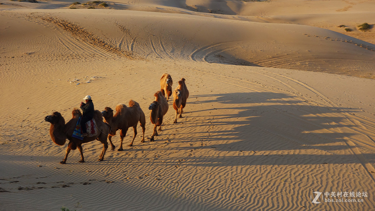 东北美景之草原、沙漠
