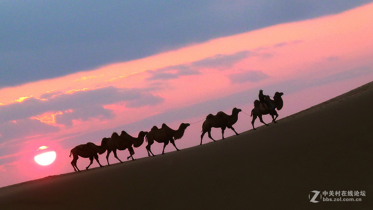 东北美景之草原、沙漠