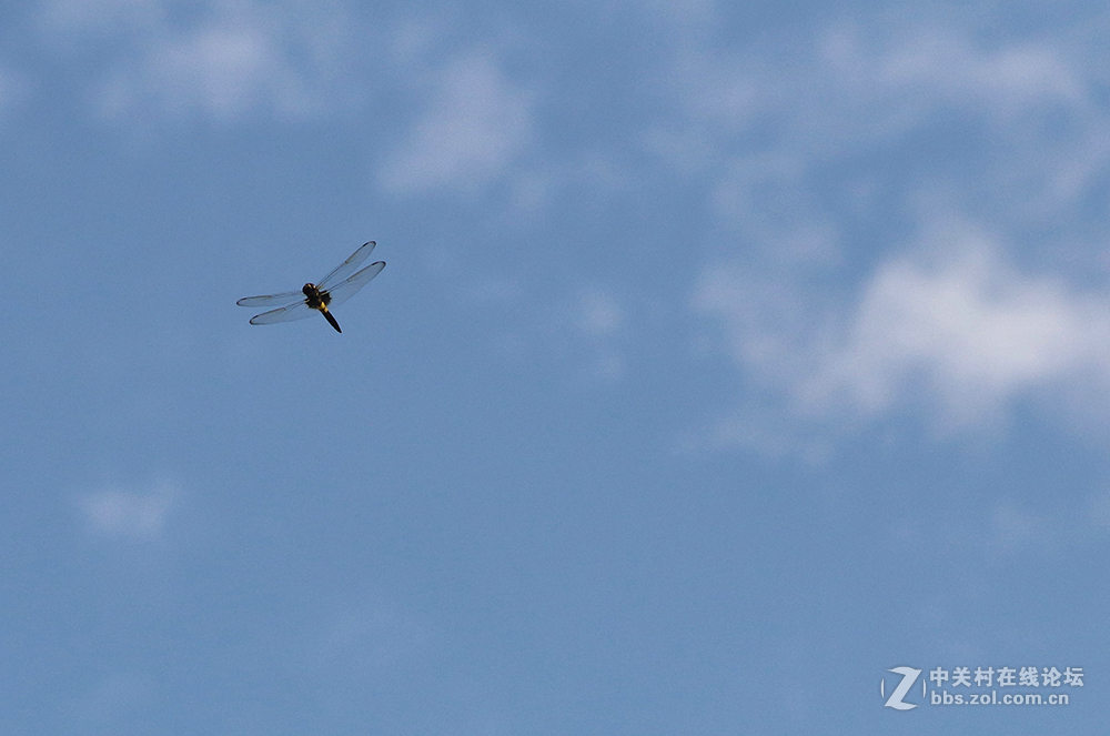 170713小二黑晨拍！