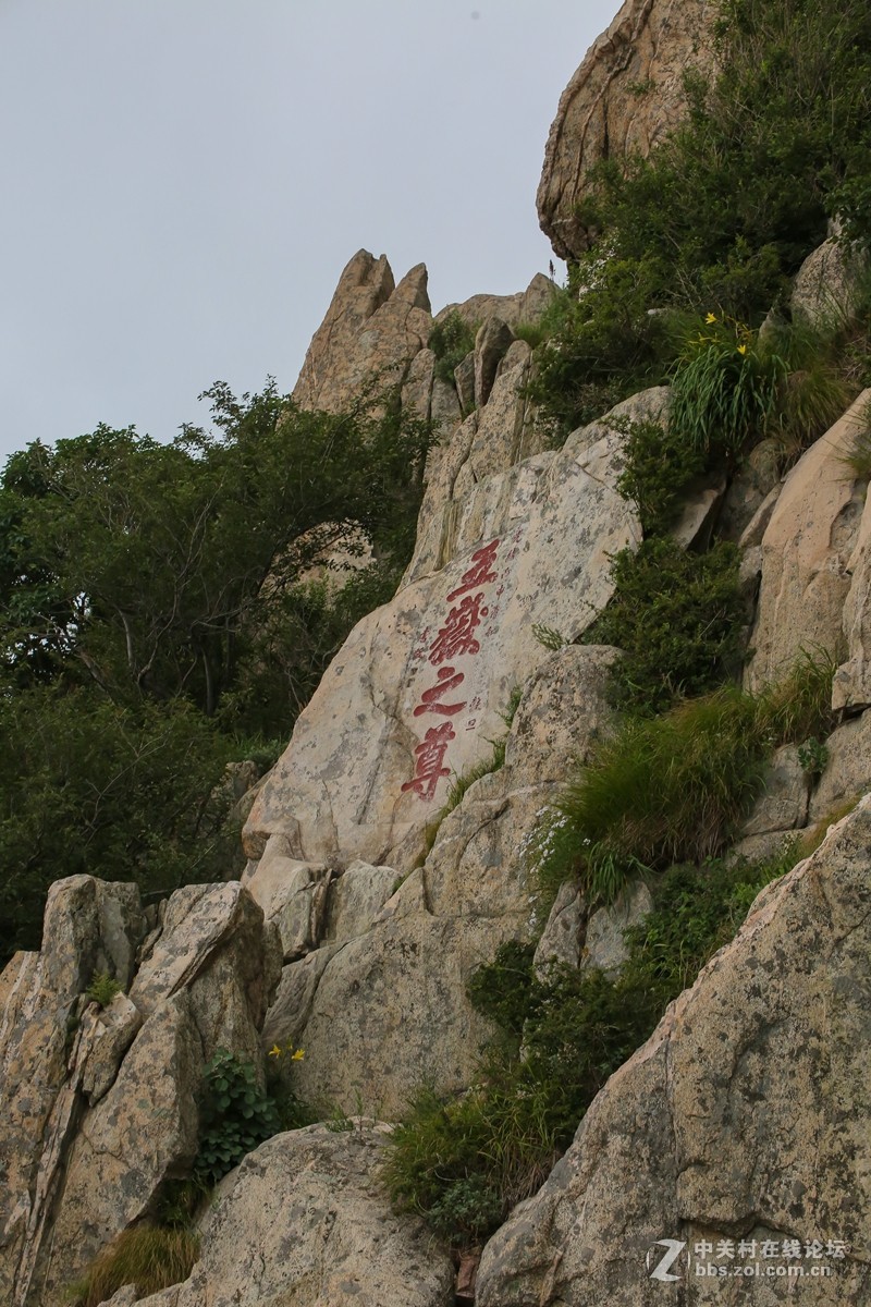 泰山碑林2