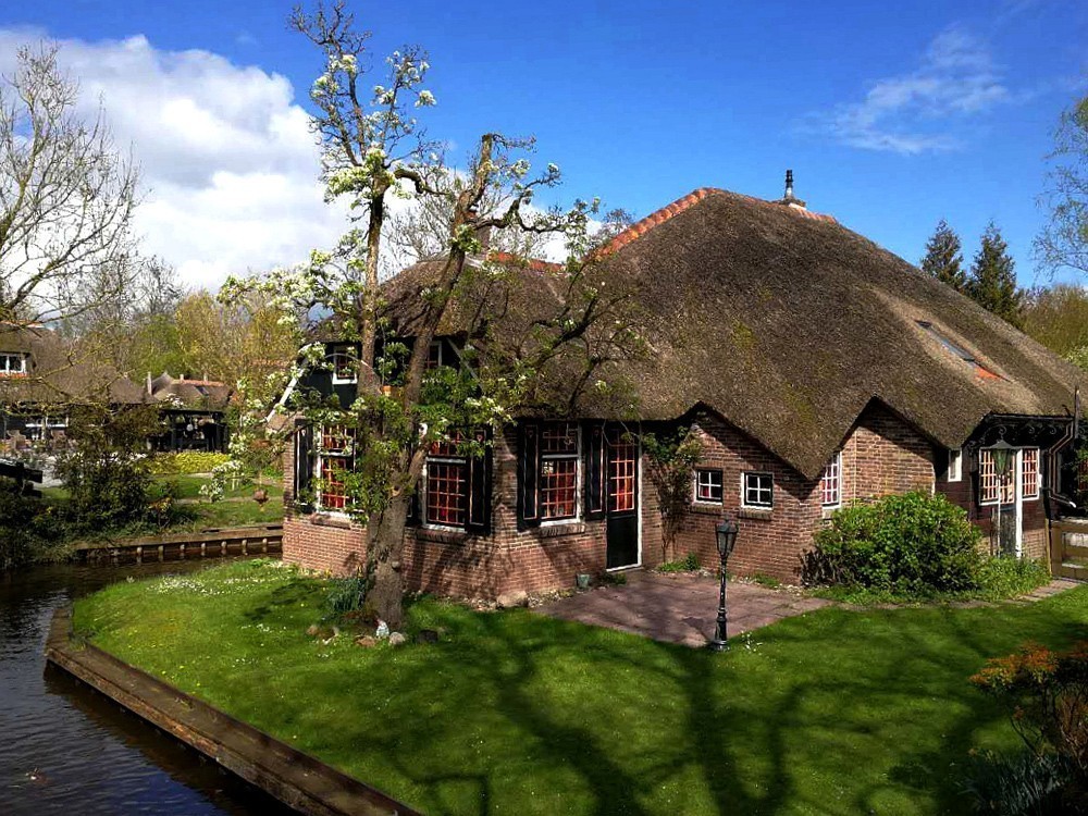 【手机随拍】荷兰的羊角村--荷兰羊角村的土壤贫瘠且泥炭沼泽遍布，除了芦苇与薹属植物外，其它植物不易生长