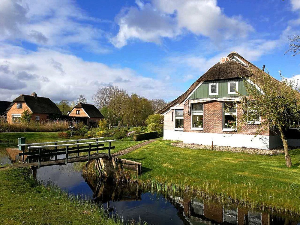 【手机随拍】荷兰的羊角村--荷兰羊角村的土壤贫瘠且泥炭沼泽遍布，除了芦苇与薹属植物外，其它植物不易生长