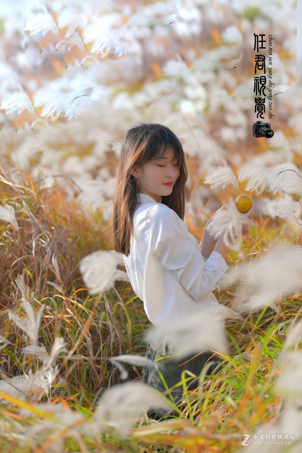 芦苇丛中拍美女