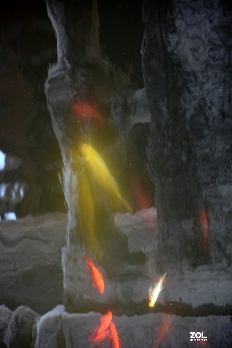 2019夏 京津鲁豫之旅（140）释迦牟尼殿