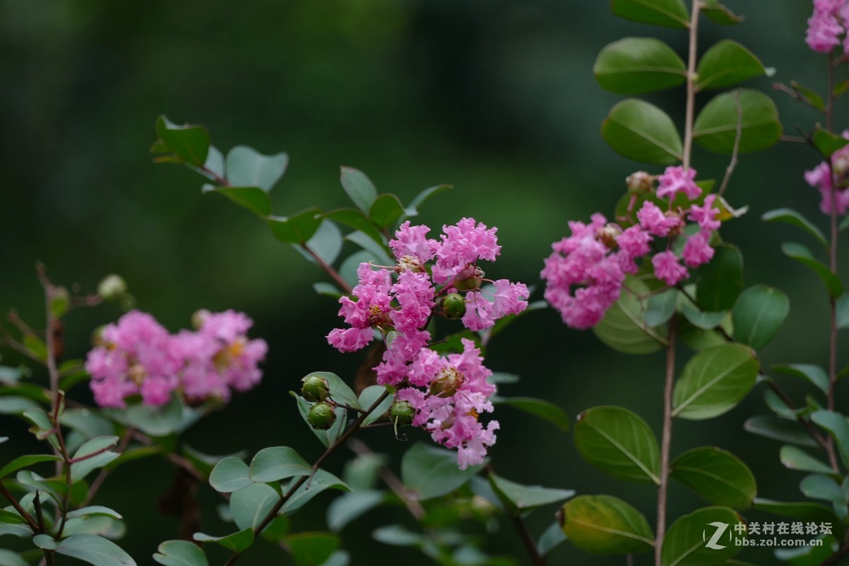 试机V-LUX  之 一路走来一路拍