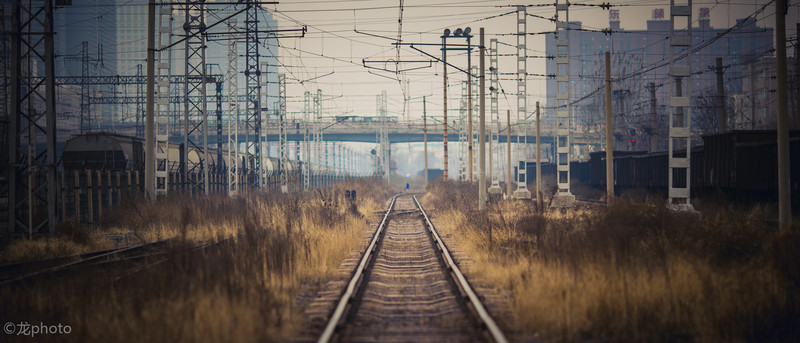 龙photo  《135L 练习贴 》