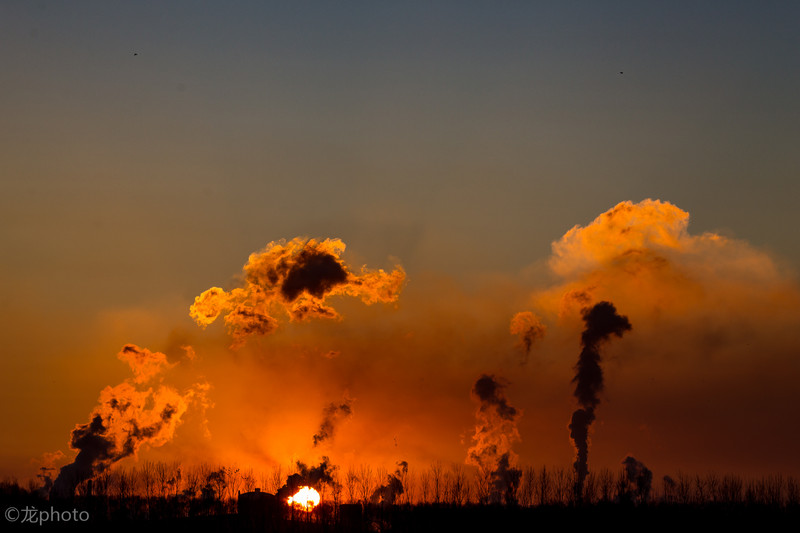 龙photo  《135L 练习贴 》