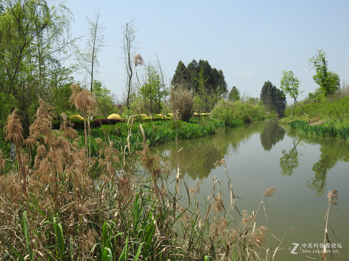 成都白鷺灣溼地公園