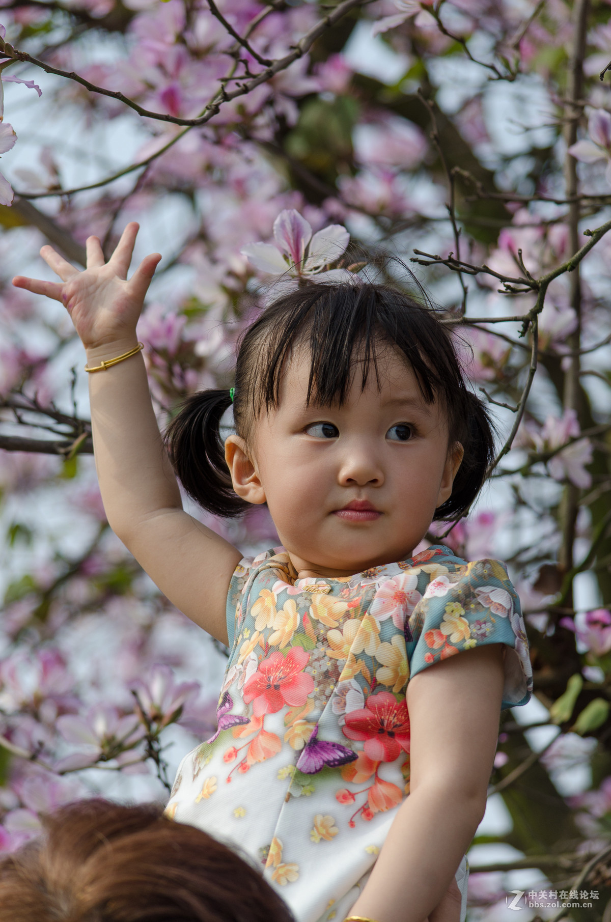 55-300有点冷，上张把图烘托下气氛，见笑！