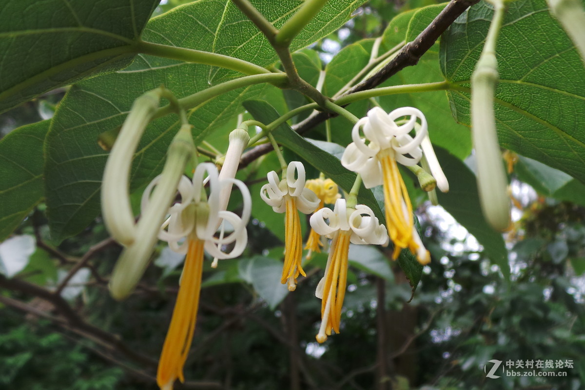 发几张GC100拍摄的也不比佳能坏