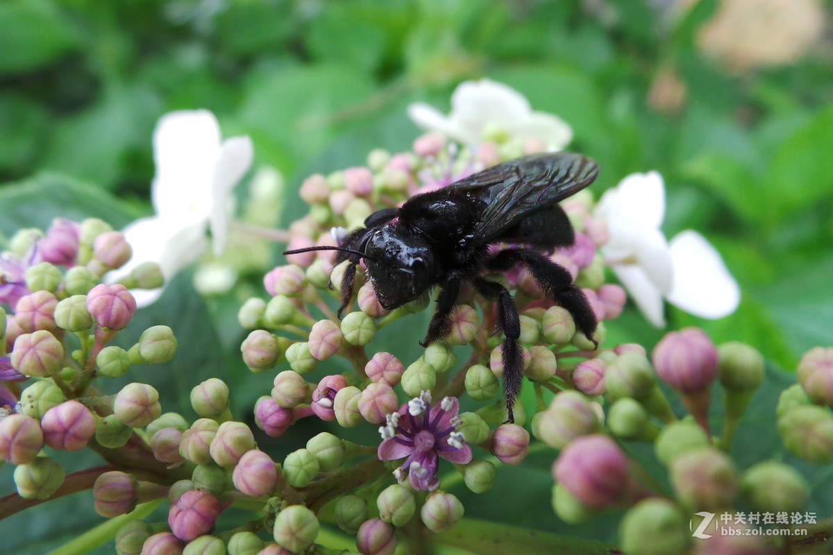 发几张GC100拍摄的也不比佳能坏