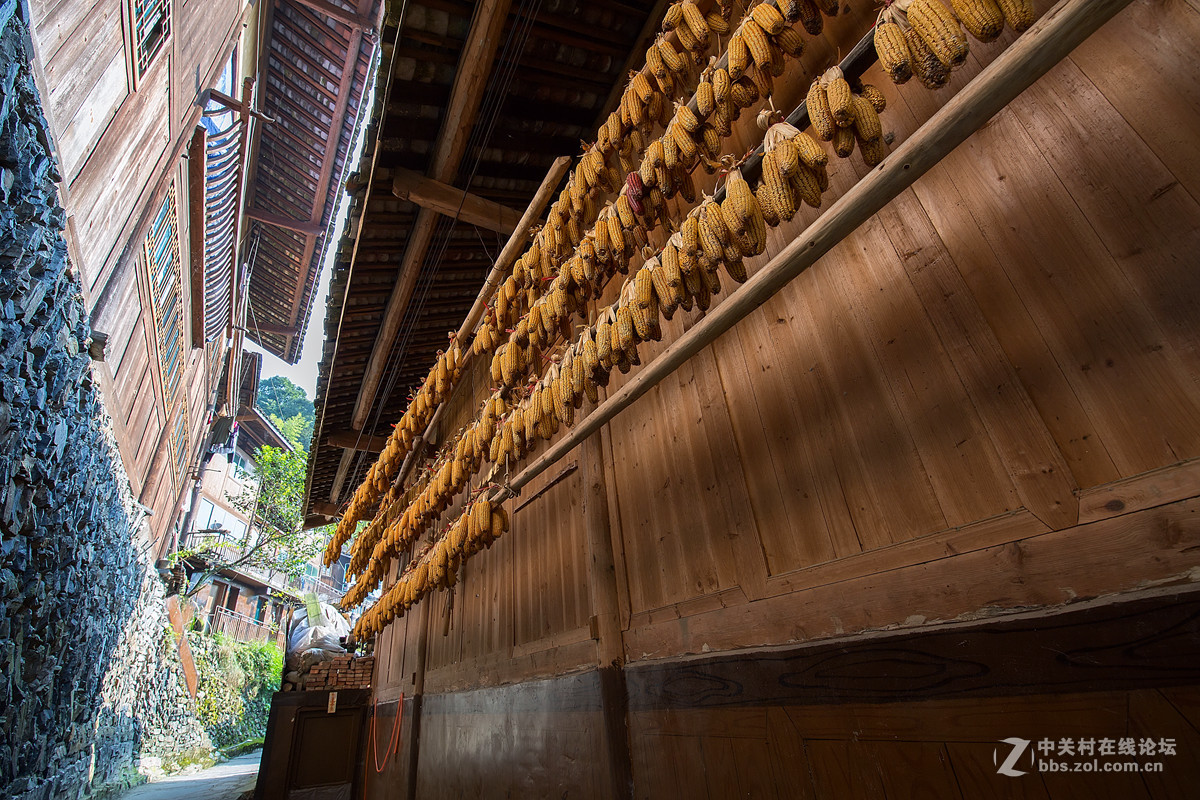 雷山 醉了我的心   雷山 美了我的眼