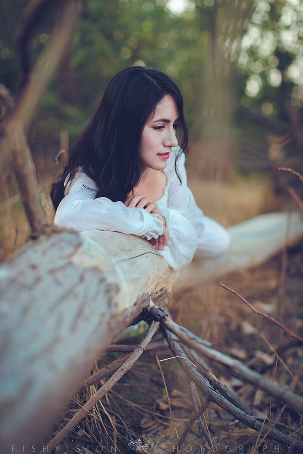 《浅秋》【菲希视觉作品】