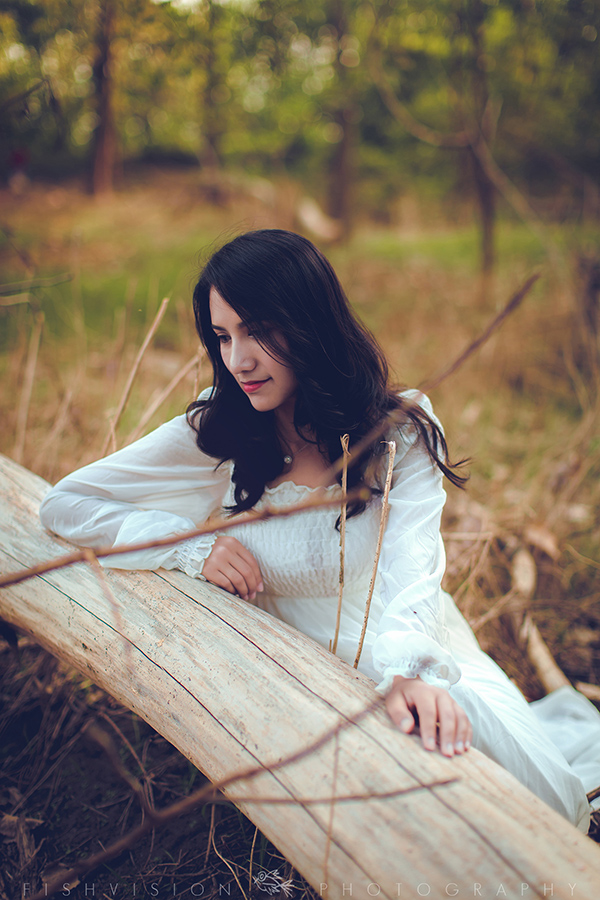 《浅秋》【菲希视觉作品】