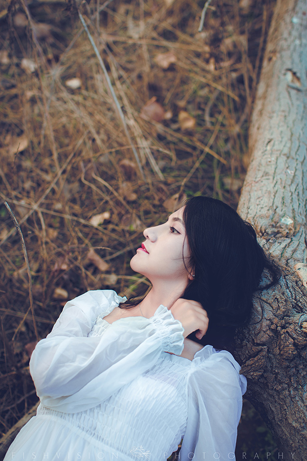 《浅秋》【菲希视觉作品】