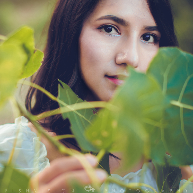 《浅秋》【菲希视觉作品】