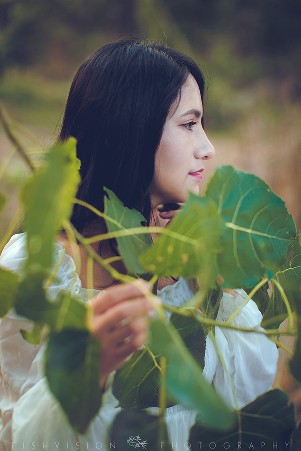 《浅秋》【菲希视觉作品】