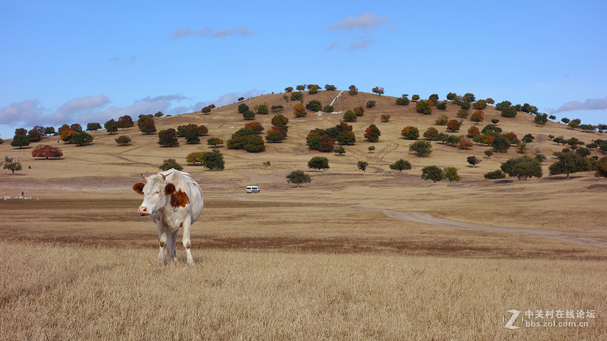 东北美景之草原、沙漠