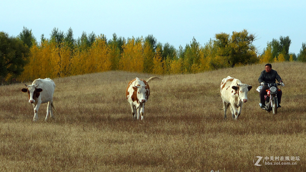 东北美景之草原、沙漠