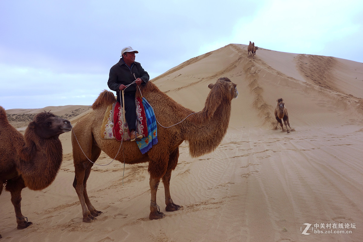 东北美景之草原、沙漠