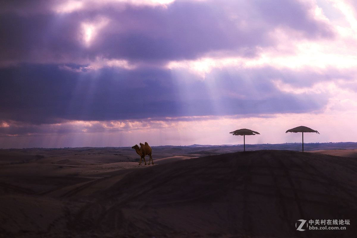 东北美景之草原、沙漠