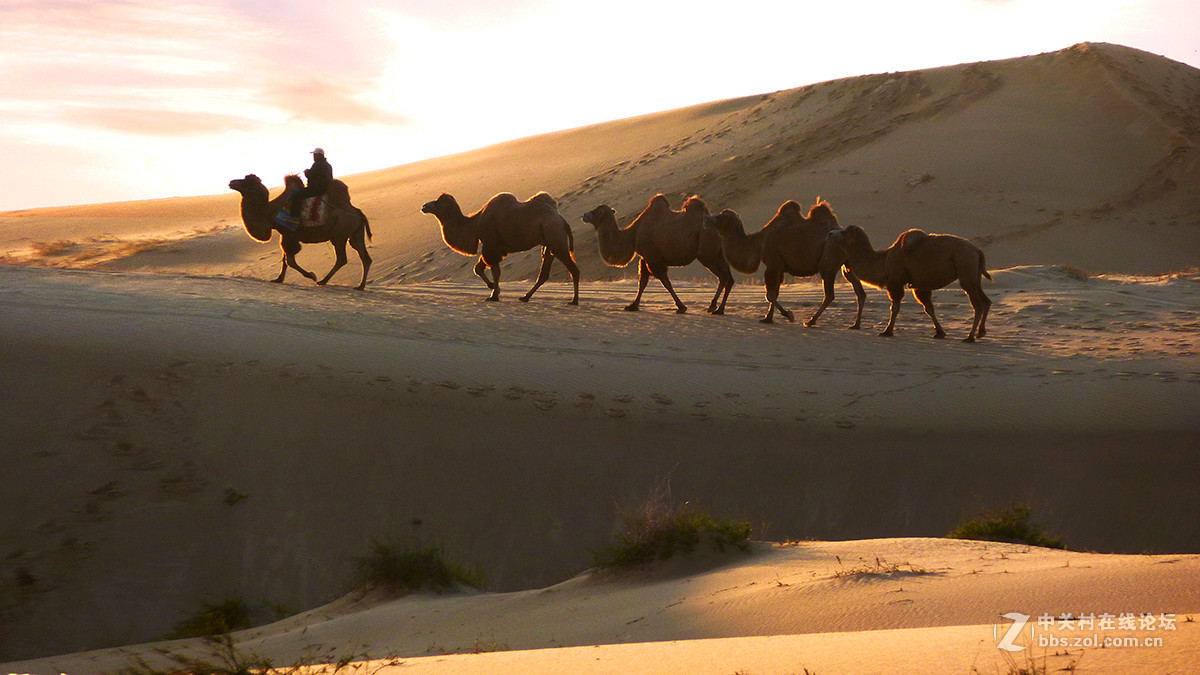 东北美景之草原、沙漠