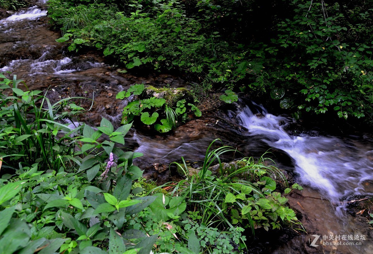栾川重渡沟游拍