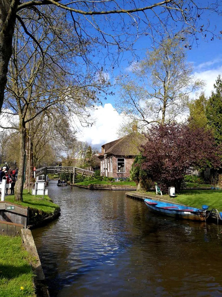 【手机随拍】荷兰的羊角村--荷兰羊角村的土壤贫瘠且泥炭沼泽遍布，除了芦苇与薹属植物外，其它植物不易生长