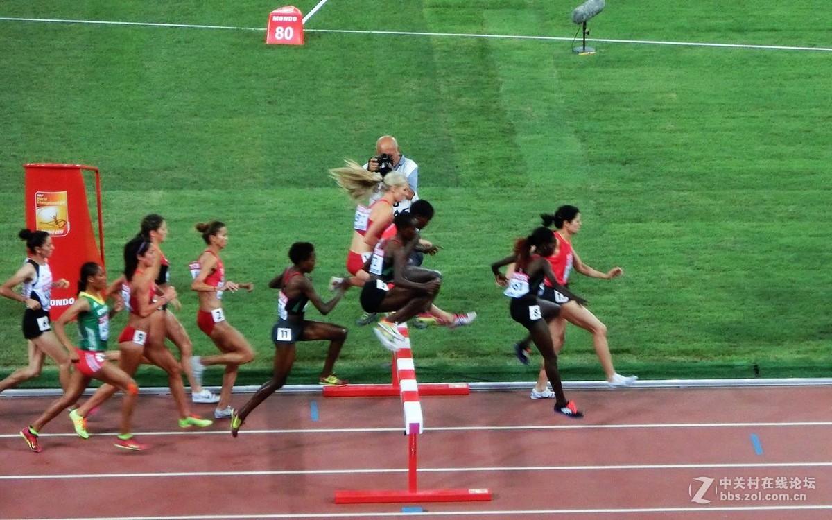 国际田联世界田径锦标赛