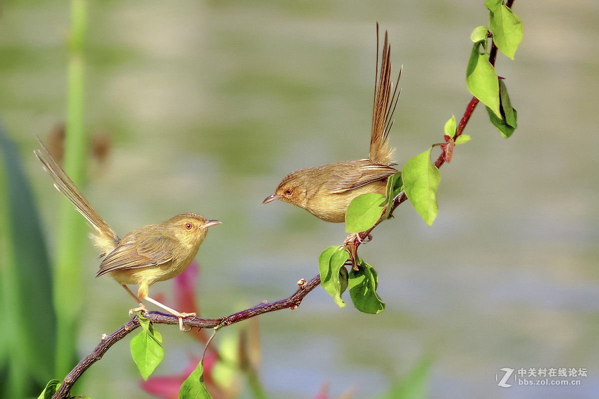 #版主坐堂# 【南京星空(中国)】2015年份11月部分优秀作品欣赏
