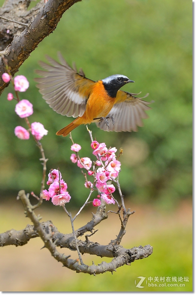 #版主坐堂# 【南京星空(中国)】2015年份11月部分优秀作品欣赏