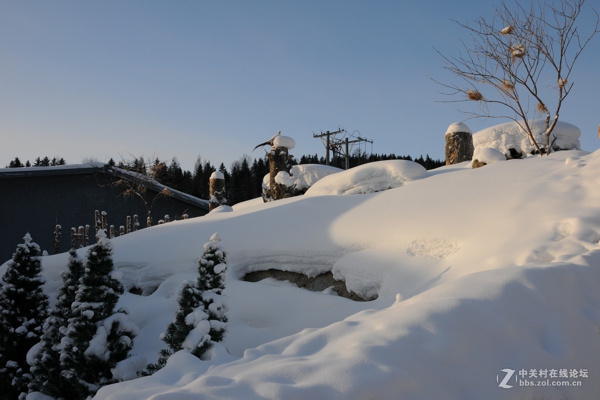 一路向东——雪乡纪实