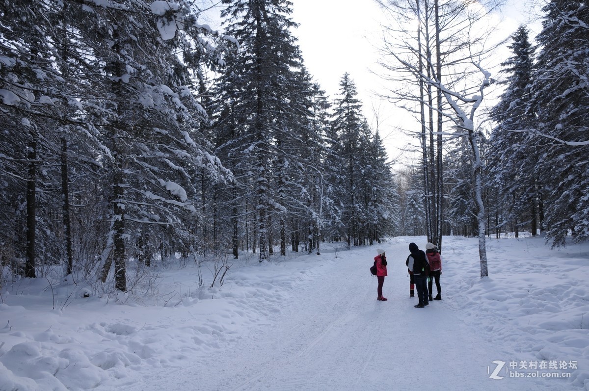 一路向东——雪乡纪实
