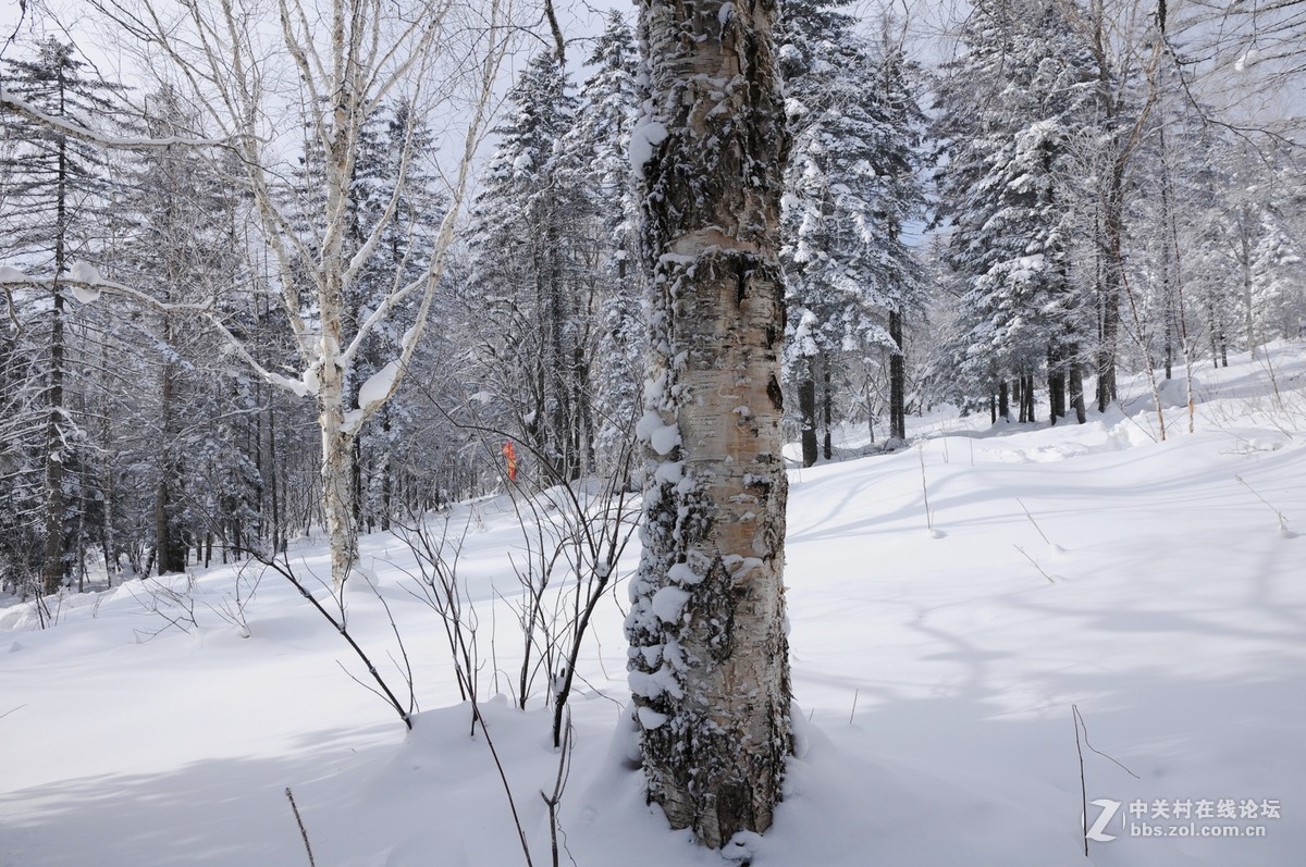 一路向东——雪乡纪实