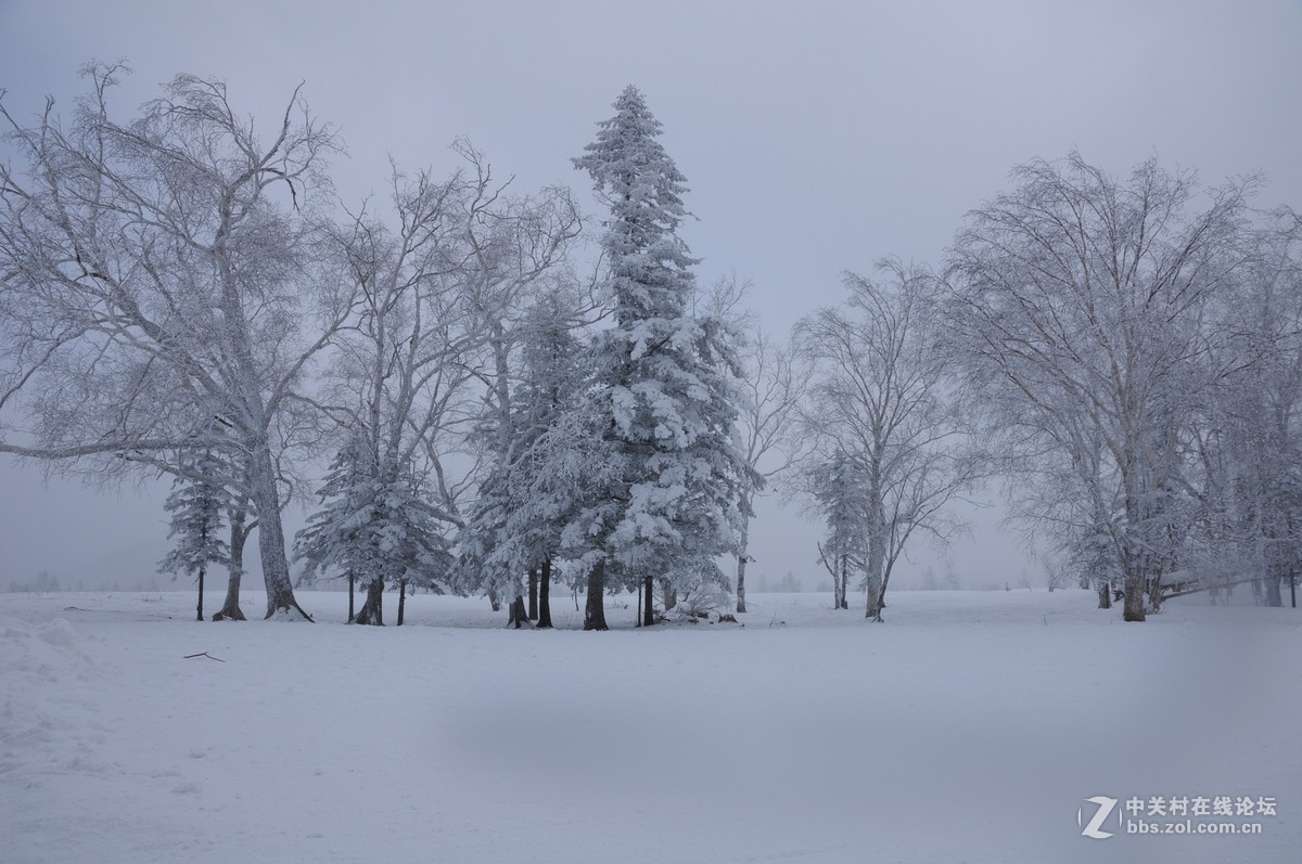 一路向东——雪乡纪实