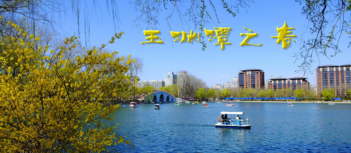 玉渊潭公园之春