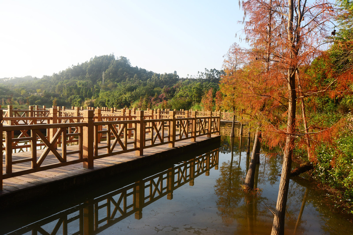 南宁相思湖湿地公园