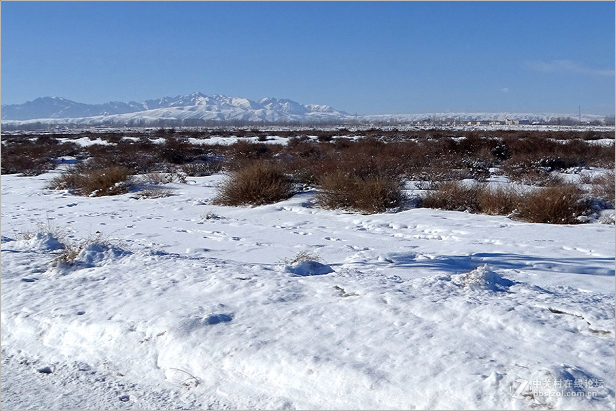 【 乌鲁木齐的冬天 （2016-2017） 】（12） ——北国风光