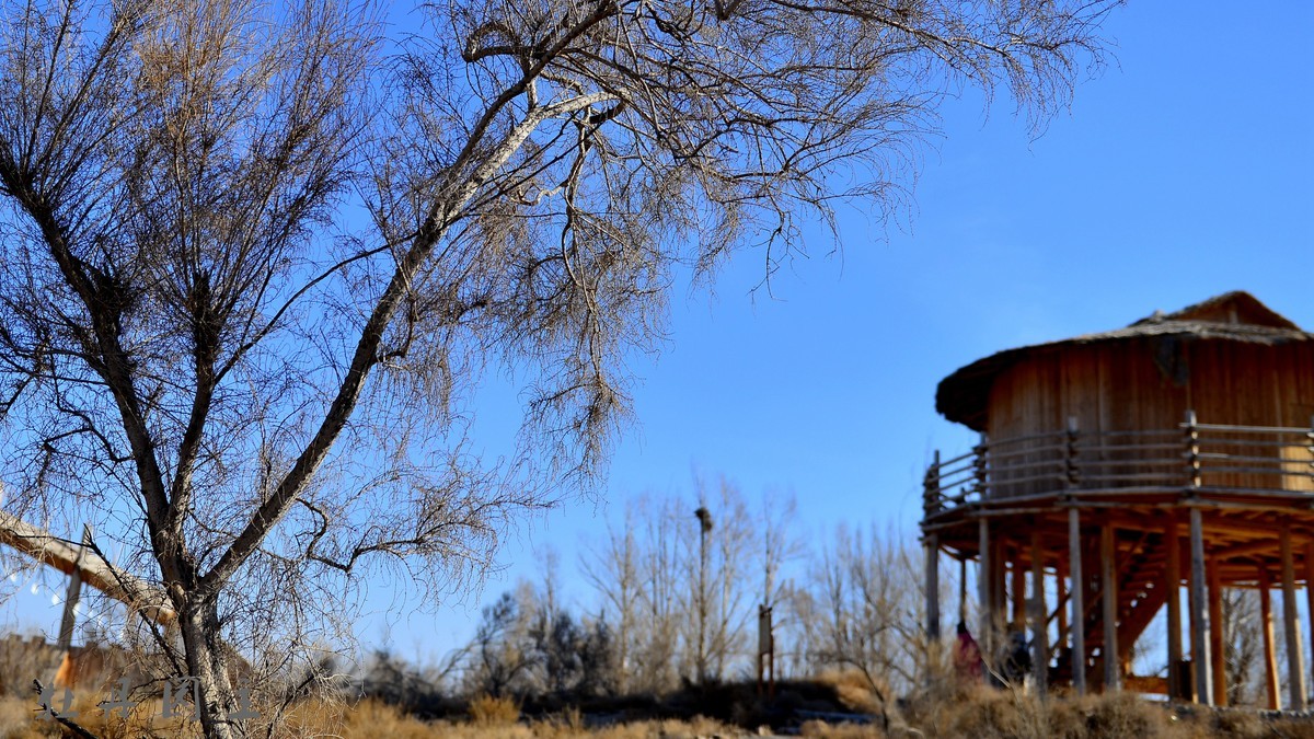 d610+24-70冬景试拍，求加精