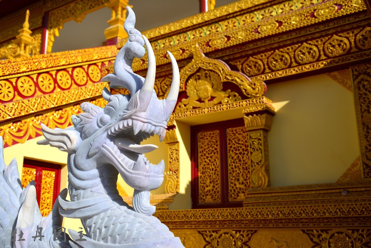 d610+24-70冬景试拍，求加精