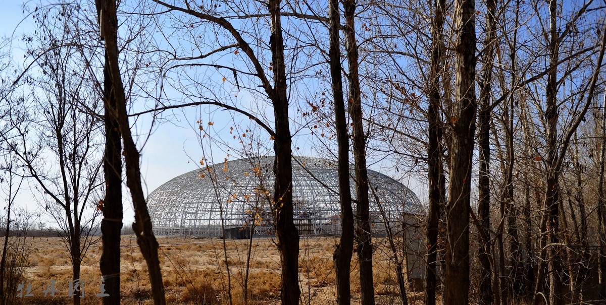 d610+24-70冬景试拍，求加精