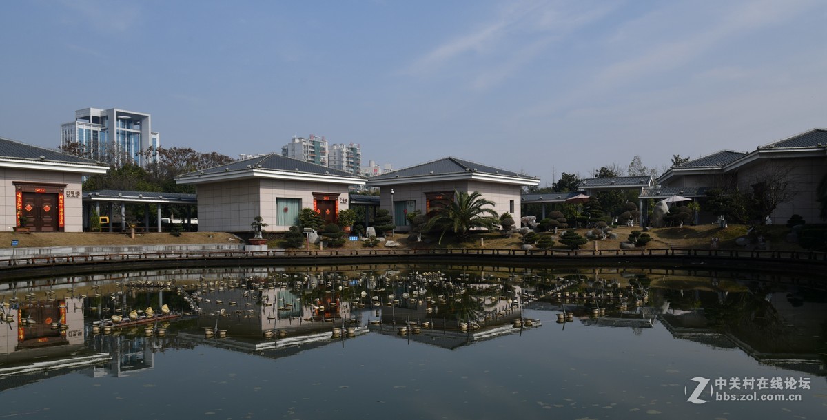 己该年春节随拍