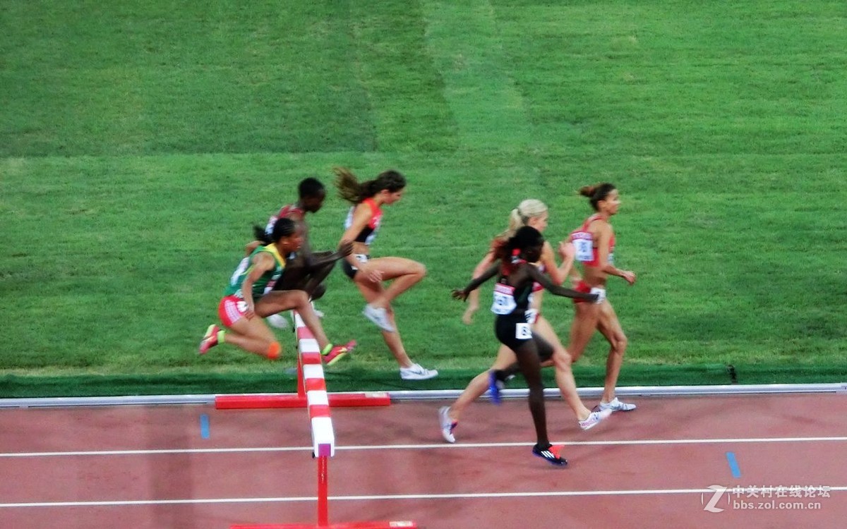 国际田联世界田径锦标赛