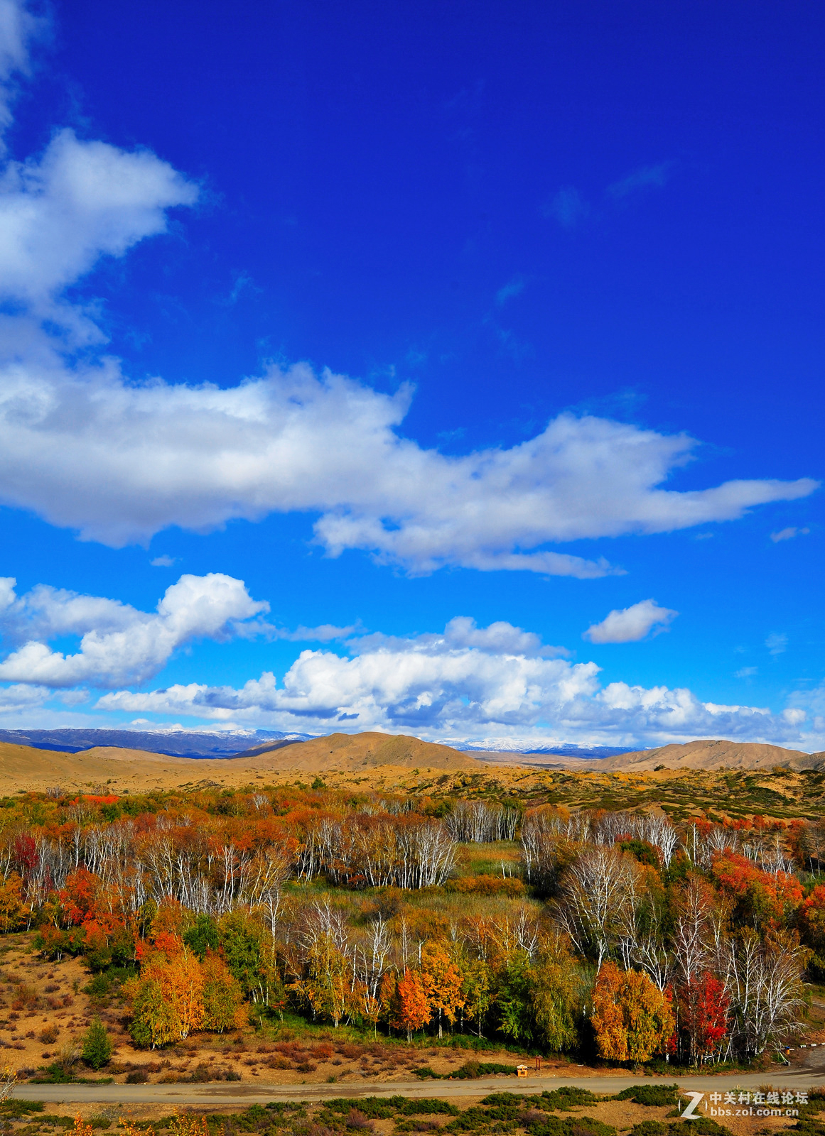 #版主坐堂# 【南京星空(中国)】2015年份11月部分优秀作品欣赏