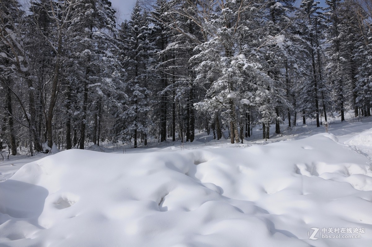 一路向东——雪乡纪实