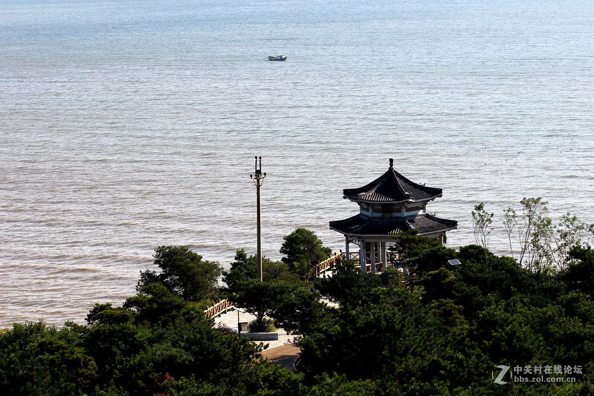 我镜中的园林公园点名评片龙湾海滨敬请凡尘阿超老师点评