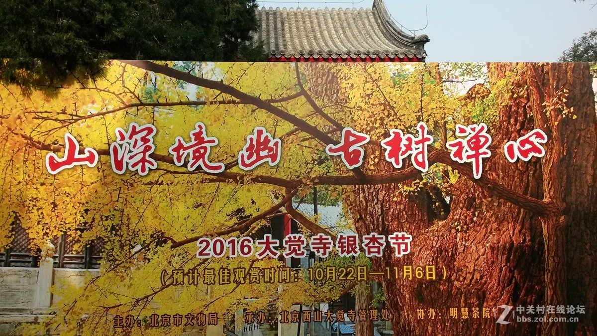 山深境幽，古树禅心！
