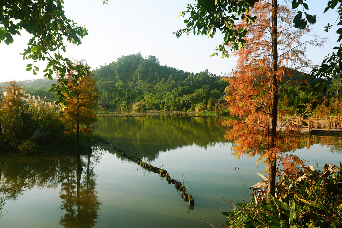 南宁相思湖湿地公园