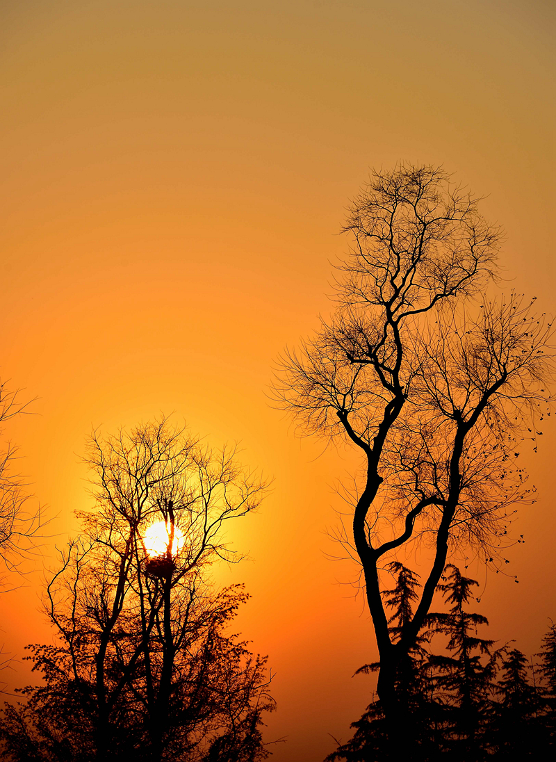 水城冬日之晨光暮影