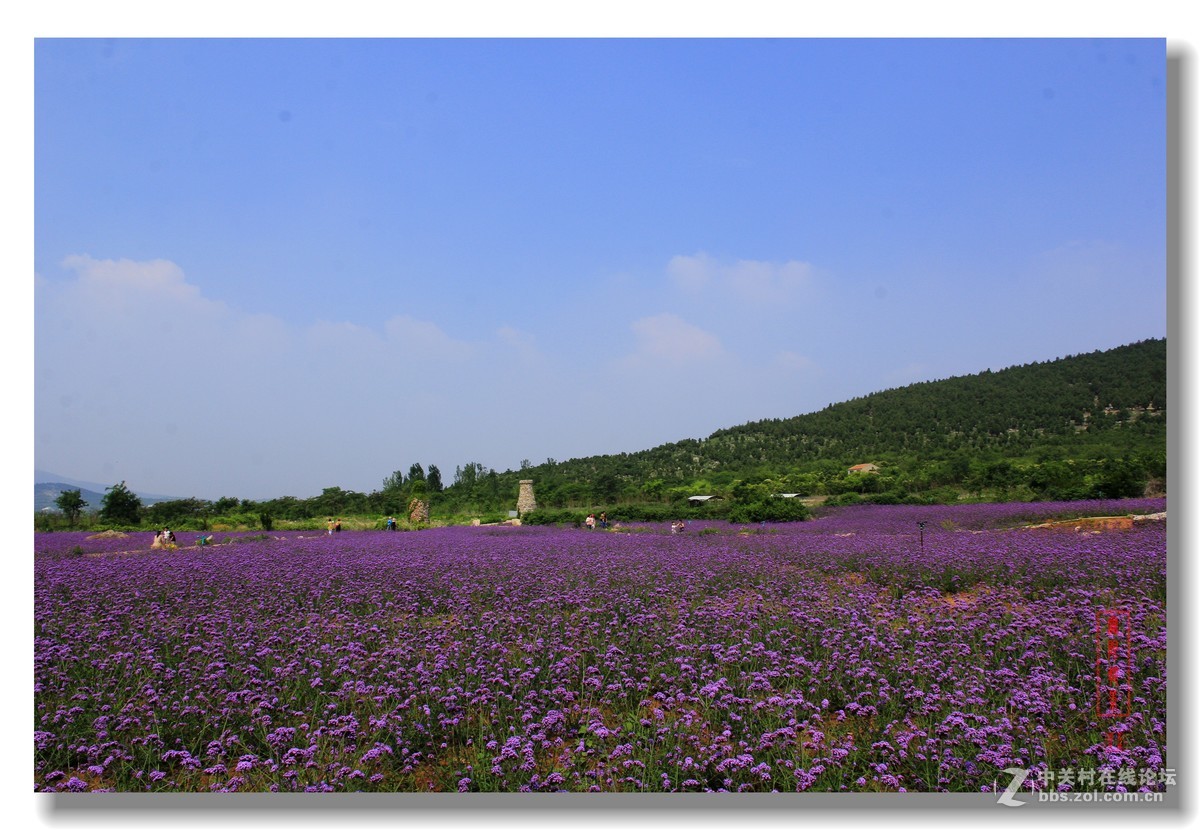 佳能月赛人与自然紫海蓝山风景